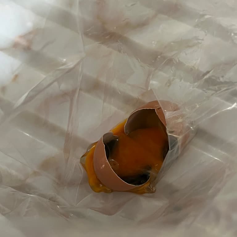 Migros Avcılar’da İndirimli Yumurta İçinde Kara Küf Tespit Edildi