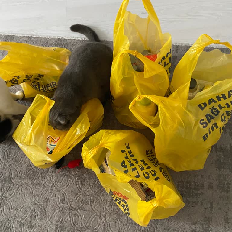 Şok Online Siparişinde Eksik Ürün Teslimi Ve Yanıtsız Müşteri Hizmetleri