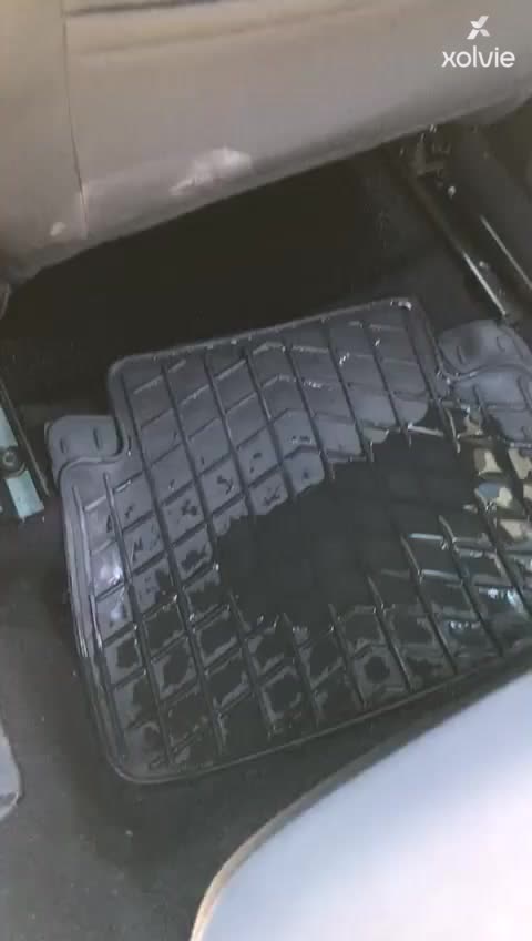 New Dacia Sandero Stepway Leaks Water During Rain video cover