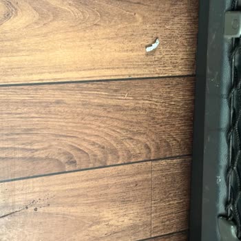 Kamil Koç Otobüsünde Hijyen Sorunu