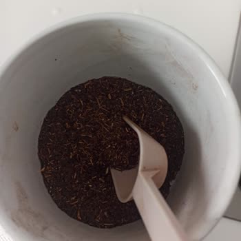 Efor Çayında Şüpheli Madde Ve Geri Çağrı Talebi