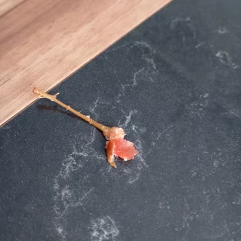 Pol's Gurme Ayıplı Ürün