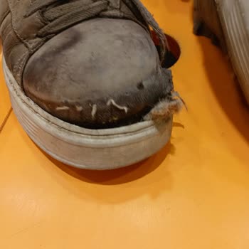 Ayıplı Ayakkabının 5 Ayda Açılması Ve Garanti İhlali