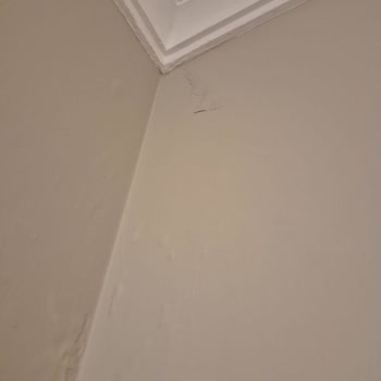 Jotun İç Cephe Boya Kabarması Ve Hızlı Çözüm Talebi