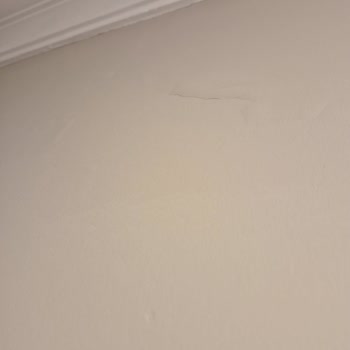 Jotun İç Cephe Boya Kabarması Ve Hızlı Çözüm Talebi