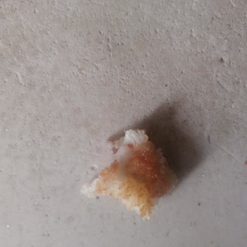 Feast Soğan Halkasında Yabancı Maddeler Bulundu Ve Gıda Güvenliği Endişesi