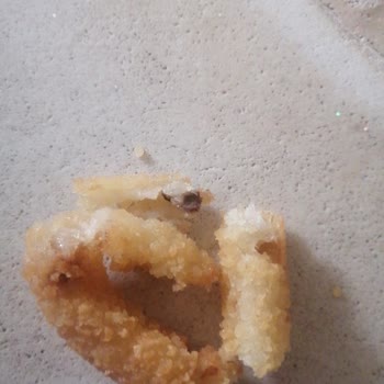 Feast Soğan Halkasında Yabancı Maddeler Bulundu Ve Gıda Güvenliği Endişesi