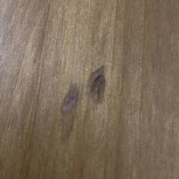 Kusurlu Ürün İçin 120 Km Taşıma Zorunluluğu Kabul Edilemez