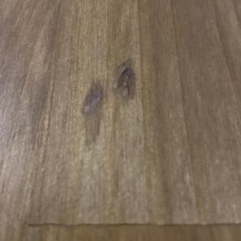 Kusurlu Ürün İçin 120 Km Taşıma Zorunluluğu Kabul Edilemez