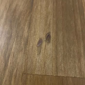 Kusurlu Ürün İçin 120 Km Taşıma Zorunluluğu Kabul Edilemez