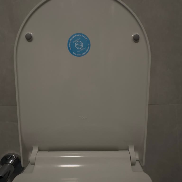 Kale Smart Hijyen Klozet Kapağının 1 Ayda Kırılması Kalite Sorunu