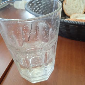 Yalova Sante Termal Otel’de Kirli Odalar, Böcekler Ve Saygısız Personel