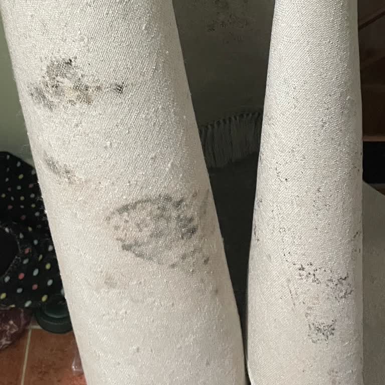 Çınar Halı Yıkama 3 Halım Teslim Edildi, 1 Halımın Nerede Olduğu Konusunda İse Bir Bilgi Verilmedi