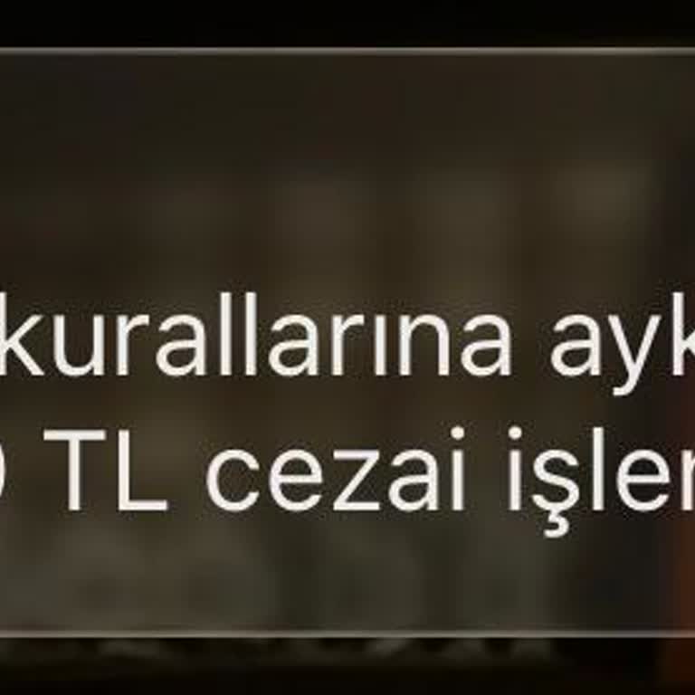 Martı Yanlış Park Ücreti İçin 750 TL Borç Ve Destek Hattına Ulaşamama!