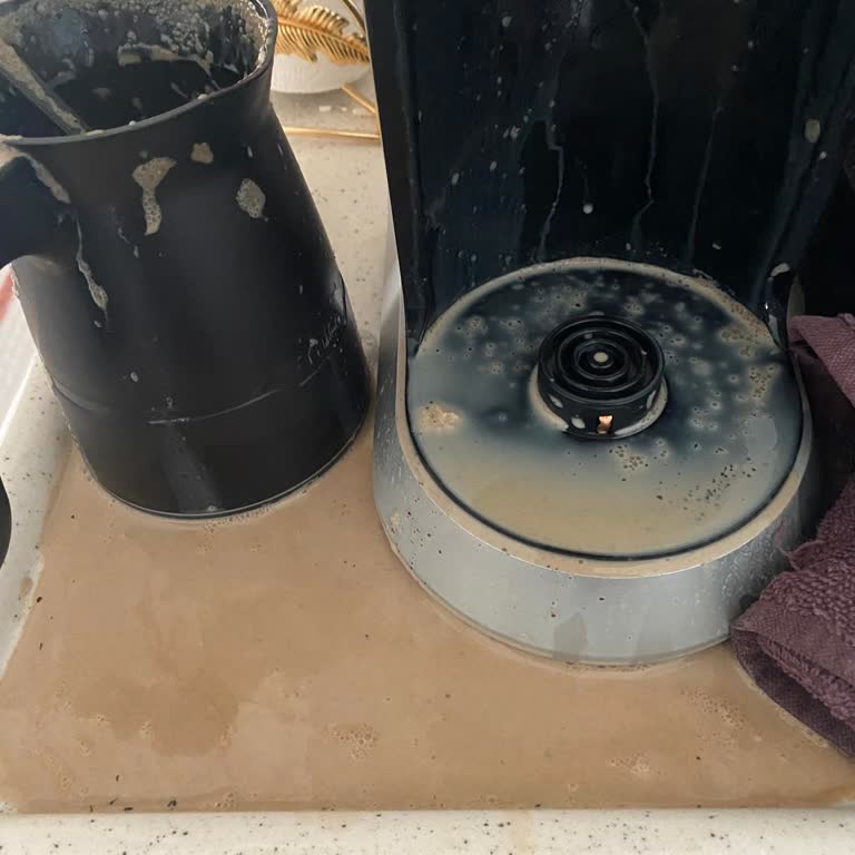 Garanti Süresi Bitmeden Değişim Talebi: Arnica Köpüklü Makinem Sürekli Arızalı