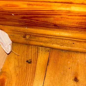 Bois Bungalov | Sapanca Yaşattıkları Olumsuz Deneyim