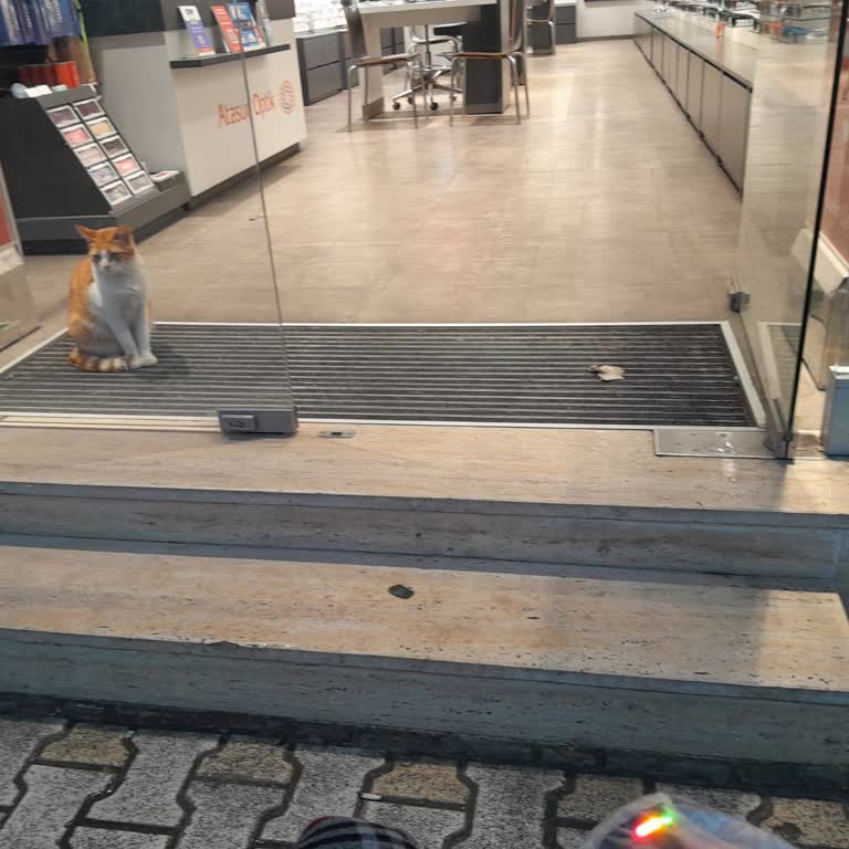 Engelli Girişi Olmayan Atasun Optik Şubesine Giremedim