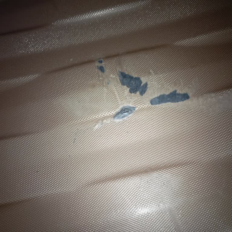 Bestvan Turizm’in Bitlis Şırnak Cizre Seferinde Bavul Delindi, Tazminat Talebim