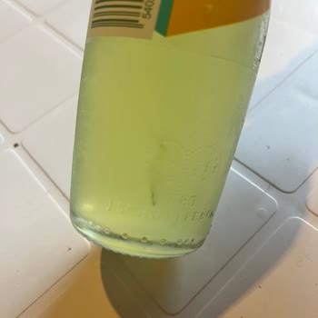 Schweppes Bitter Limon Şişesinde Yabancı Madde Şüphesi Ve Market Personelinin Tavırları