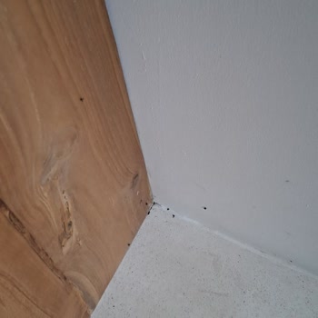 Yanlış İptal Sonrası Villanın Kötü Durumu Ve İade Talebi