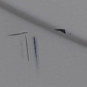 Hasarlı Bosch Kurutma Makinesi İçin Birebir Değişim Talebi