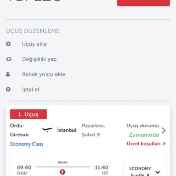Giresun Havalimanı Uçuş İptali Ve Gecikmesi Nedeniyle Maddi Ve Manevi Tazminat Talebi