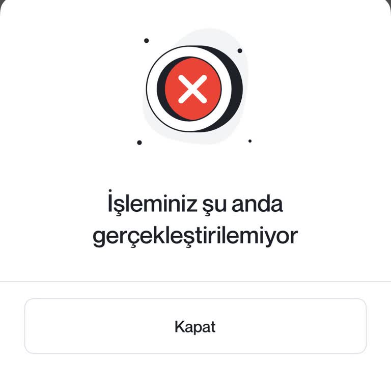 Hesaba Giriş Sorunu Ve Geciken İade İşlemi Hakkında Acil Çözüm Talebi