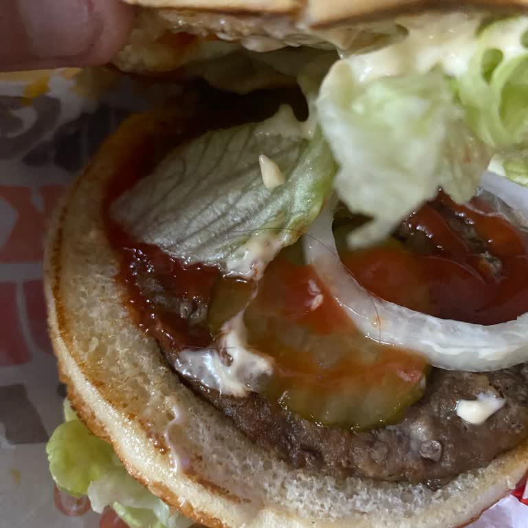 Burgerde Kıl Çıktı Yemeksepeti Destekte Çözüm Bulunamadı