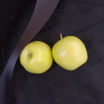 Etiket Ve Kasa Fiyatı Uyumsuzluğu Nedeniyle İade Talebi