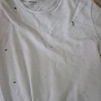 Aşırı Tüylenme Ve Renk Bozulması Nedeniyle Hızlı İade Talebi