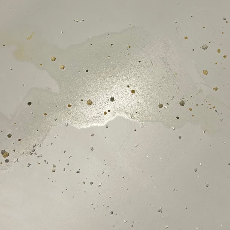 Xenon Akıllı Kedi Tuvaleti Sızdırıyor Ve Yoğun Koku Oluşturuyor