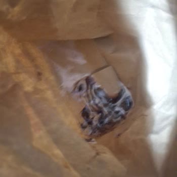 Eksik Ve Bozulmuş Sipariş, Gıda Güvenliği Endişesi Ve Canlı Destek Sorunu