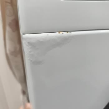 Bosch Çamaşır Makinesinde Garanti Dışı Paslanma Ve Yetersiz Servis