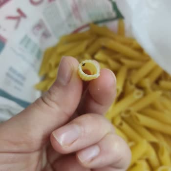 A101 Şubesinde Satılan Arbella Makarna İçindeki Böcekler Ve Sağlık Tehlikesi