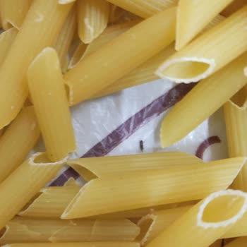 A101 Şubesinde Satılan Arbella Makarna İçindeki Böcekler Ve Sağlık Tehlikesi