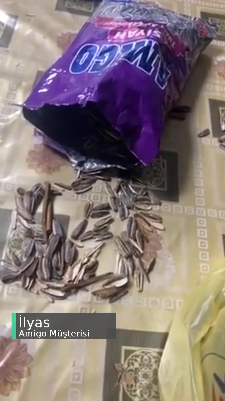 Amigo Çekirdeğin Yarısından Fazlasının Boş Kabuktan Oluşması videonun kapak resmi