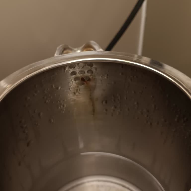 Homend Konuşan Çaycının Paslanan Akıtma Bölümü Ve Çalışmayan Konuşma Özelliği