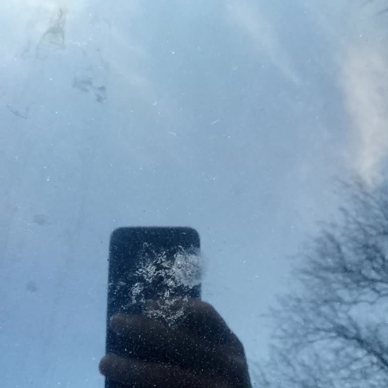 Citroen C4X Boya Sorunu Ve Değer Kaybı Talebi