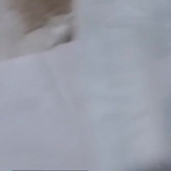 Jenny & Willy Yapışkan Sorunu Yaşıyoruz Neden?