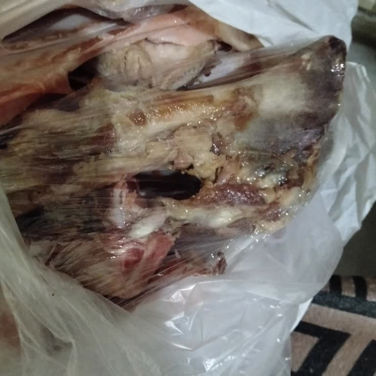 Kuzu Kemik Ürünü Bozulmuş, Kötü Koku Ve Sağlık Riski