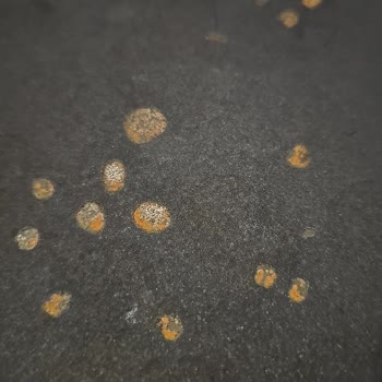 Lav Pilav Tenceresinde Taban Oyukları Ve Müşteri Hizmetlerine Ulaşılamaması