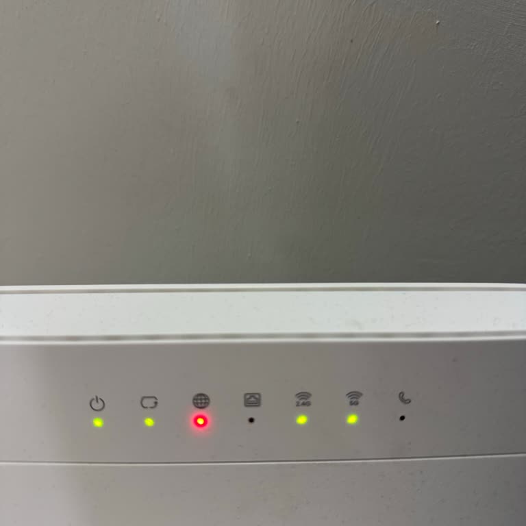 İnternet Kesintisi Nedeniyle Erken Randevu Talebi