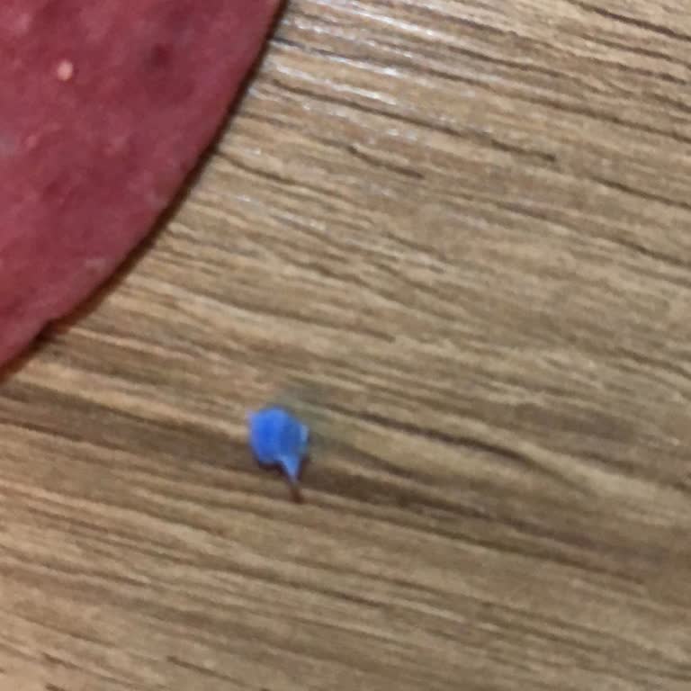 BİM Şubesinde Namet Salamda Mavi Plastik Parça Bulunması