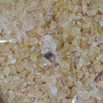 Torku Köftelik Bulgura Açılmadan İçinde Larva Ve Böcek Görülmesi