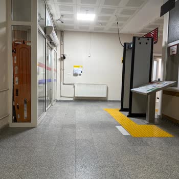 Acil Serviste Kedilerle Hijyen İhlali Ve Personel Umursamazlığı