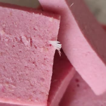 Pınar Hindi Salamda Tüy Çıkması Hijyen Ve Güven Sorunu