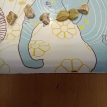 Migros Mercimeğinde Çıkan Taş Çocuğumun Dişini Kırdı