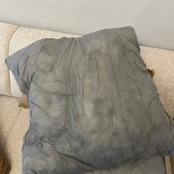 Bellona Koltuk Takımımda Sert Kırlent Dolguları Ve Cevapsız Servis