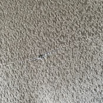 Kısa Sürede Dikiş Atması Ve Kumaş Esnemesi Nedeniyle Tam İade Talebi