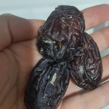 Tadım Hurma Ürünün Küflenmiş Olması Gıda Güvenliğini Tehdit Ediyor